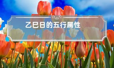 乙巳日的五行属性