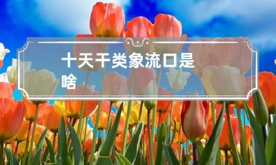 十天干类象流口是啥