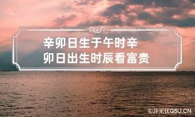 辛卯日生于午时 辛卯日出生时辰看富贵
