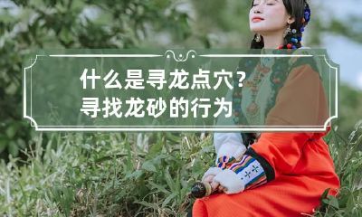 什么是寻龙点穴?寻找龙砂的行为