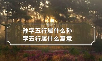 孙字五行属什么 孙字五行属什么寓意