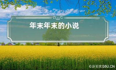 年末 年末的小说