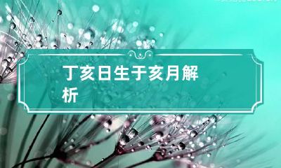 丁亥日生于亥月解析