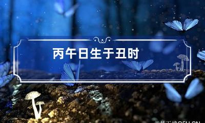 丙午日生于丑时