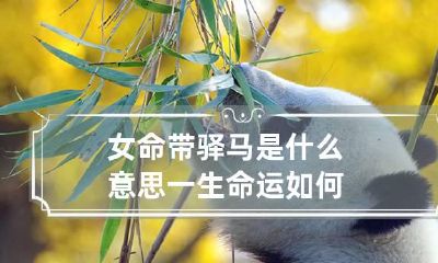 女命带驿马是什么意思 一生命运如何