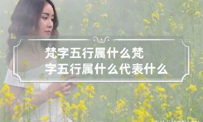 梵字五行属什么 梵字五行属什么代表什么生肖