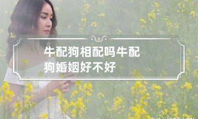 牛配狗相配吗 牛配狗婚姻好不好