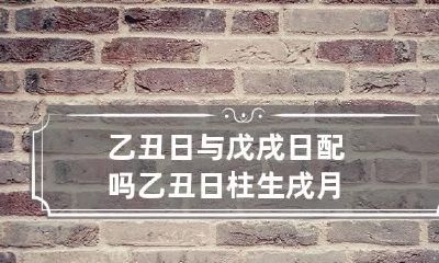 乙丑日与戊戌日配吗 乙丑日柱生戌月