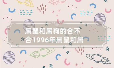 属鼠和属狗的合不合 1996年属鼠和属狗的合不合
