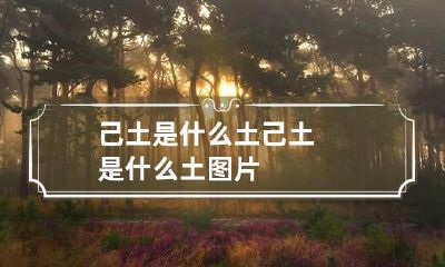 己土是什么土 己土是什么土 图片
