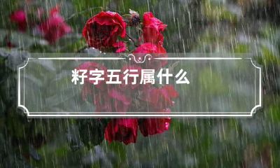 籽字五行属什么