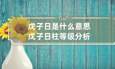 戊子日是什么意思 戊子日柱等级分析