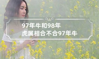 97年牛和98年虎属相合不合 97年牛和98年的虎相配吗
