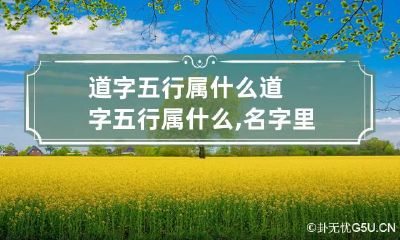 道字五行属什么 道字五行属什么,名字里寓意是什么