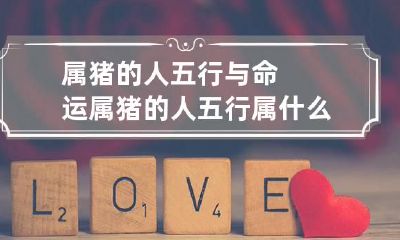 属猪的人五行与命运 属猪的人五行属什么的