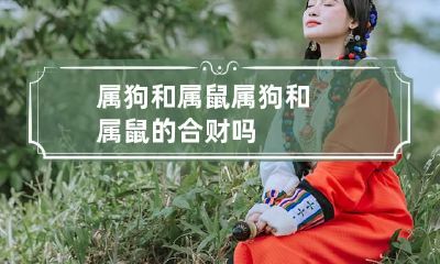 属狗和属鼠 属狗和属鼠的合财吗