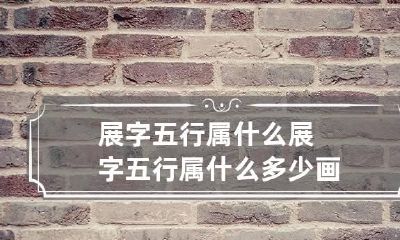 展字五行属什么 展字五行属什么多少画