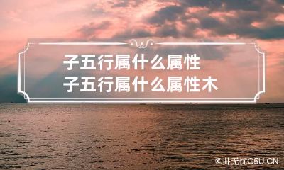 子五行属什么属性 子五行属什么属性木