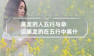 属龙的人五行与命运 属龙的在五行中属什么命