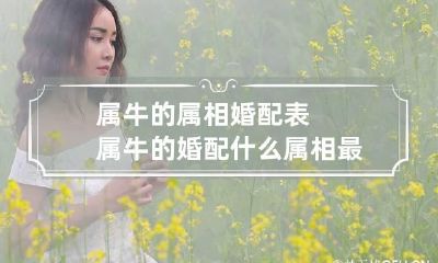 属牛的属相婚配表 属牛的婚配什么属相最好