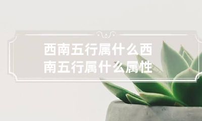 西南五行属什么 西南五行属什么属性