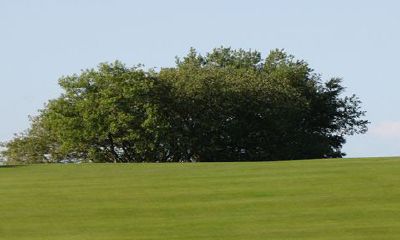 正月初七吃面条有哪些讲究