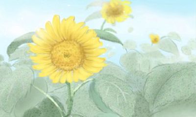 属狗人2019年整体运势