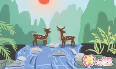 属狗人2020年整体运势