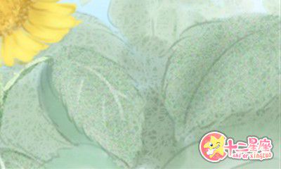 赖国光2016年9月生肖狗运势