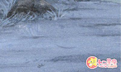 泓翔老师2016年9月生肖狗学业运势