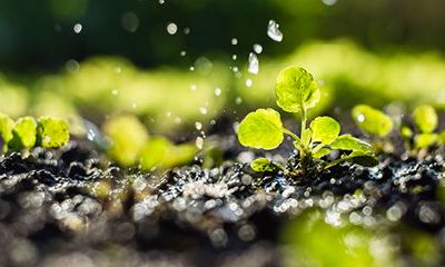 属鼠人2022年3月运势