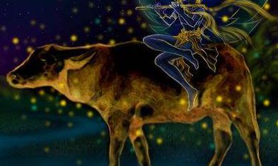 <strong>摩羯座和十二星座的爱情配合度</strong>