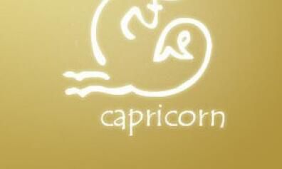 摩羯座接吻方式