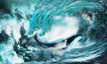 十二星座攻心策:魔羯男