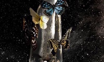 水瓶座潜在的单身基因是什么?