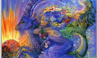 摩羯女和双鱼男配对