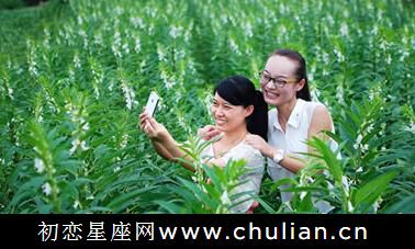 大揭秘,水瓶座有多么适合投资?