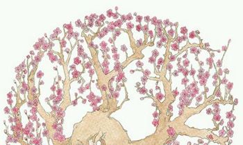 摩羯座女生的性格