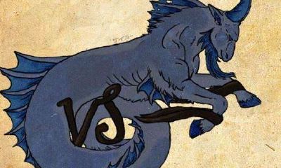 摩羯座幸福指数配对,摩羯座和谁在一起最幸福