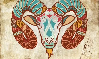 摩羯座与天蝎座配对