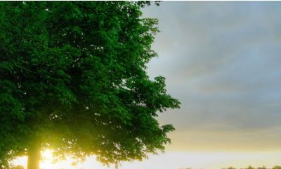 金星摩羯座的爱情