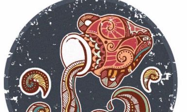 水瓶座搞笑的坟前告白