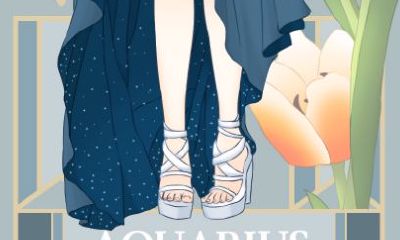 水瓶座最亲密的拍档