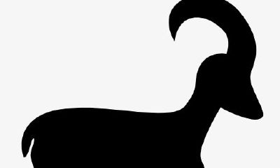 摩羯座迈向成功必读