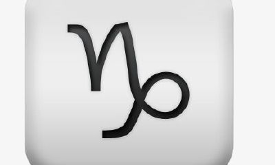 摩羯座工作风格作风