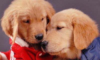 水瓶女恋爱中最无法忍受的行为