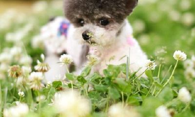 水瓶男恋爱中最无法忍受的行为