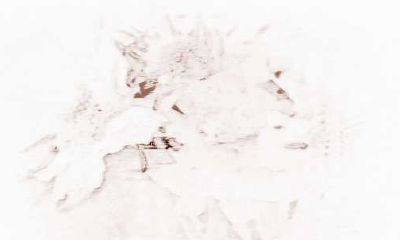 挖掘水瓶座在工作中的长处