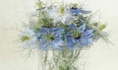 水瓶座男生在恋爱中的优势