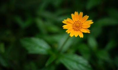 如何挽回水瓶座的心